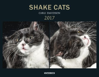 Shake Cats 2017 - Cover