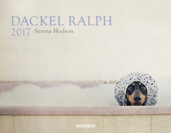 Dackel Ralph 2017