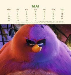 Angry Birds 2018 - Illustrationen 5