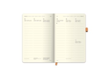 Cool Diary Weekly Pattern/Apricot 2018 - Abbildung 2