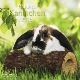 Kaninchen/Rabbits 2018 - Cover