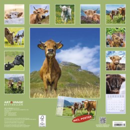 Kühe/Cows 2018 - Abbildung 15