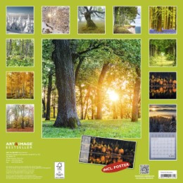 Wald 2018 - Abbildung 14