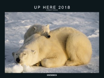 Up Here 2018