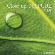Close-up: Nature 2020