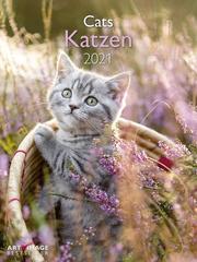 Katzen 2021 - Cover