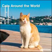 Cats Around the World 2023