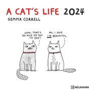A Cat's Life 2024