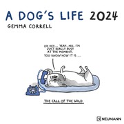 A Dog's Life 2024