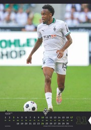 Borussia Mönchengladbach 2024 - Illustrationen 11