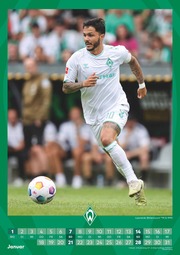 Werder Bremen - Fankalender 2024 - Illustrationen 1