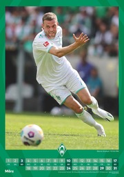 Werder Bremen - Fankalender 2024 - Illustrationen 3