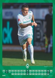 Werder Bremen - Fankalender 2024 - Illustrationen 6