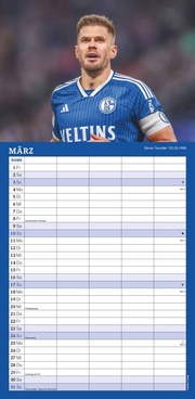 FC Schalke 04 2024 - Illustrationen 3