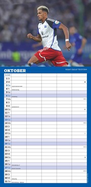 Hamburger SV 2024 - Abbildung 10