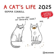 A Cat's Life 2025 - Wand-Kalender - Broschüren-Kalender - 30x30 - 30x60 geöffnet - Katzen - Cartoon