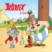 Asterix 2025 - Wand-Kalender - Broschüren-Kalender - 30x30 - 30x60 geöffnet - Ca