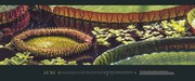 GEO SAISON Panorama: Die schönsten Gärten 2024 - Abbildung 6