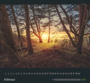 GEO Kalender: Sehnsucht Wald 2024 - Abbildung 2