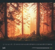 GEO Kalender: Sehnsucht Wald 2024 - Abbildung 7