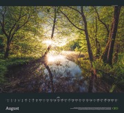 GEO Kalender: Sehnsucht Wald 2024 - Abbildung 8