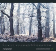 GEO Kalender: Sehnsucht Wald 2024 - Abbildung 11
