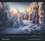 GEO Kalender: Sehnsucht Wald 2024 - Abbildung 12