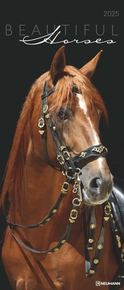 Beautiful Horses 2025