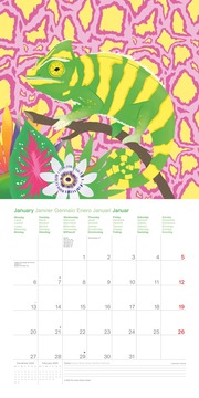 Sweet & Wild 2025 - Wand-Kalender - Broschüren-Kalender - 30x30 - 30x60 geöffnet - Design - Illustrationen - Illustrationen 1