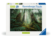 Ravensburger Puzzle Nature Edition 12000292 - Faszinierender Wald - 1000 Teile Puzzle für Erwachsene und Kinder ab 14 Jahren