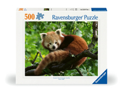 Ravensburger Puzzle 12000369 Süßer roter Panda - 500 Teile Puzzle für Erwachsene und Kinder ab 1'2 Jahren