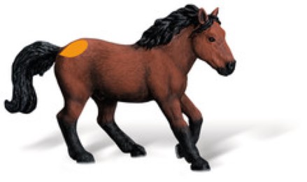 Bauernhof: Dartmoor Pony