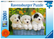 Ravensburger Kinderpuzzle - 12765 Kuschelige Welpen - Hunde-Puzzle für Kinder ab 8 Jahren, mit 200 Teilen im XXL-Format - Cover