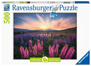 Lupinen - Puzzle - 17492