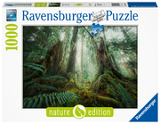 Faszinierender Wald - Puzzle - 17494