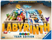 Labyrinth Team Edition - Cover