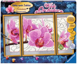 Malen nach Zahlen Premium Triptychon: Wilde Orchidee