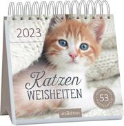 Postkartenkalender: Katzenweisheiten 2023