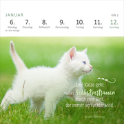Mini-Wochenkalender Katzenweisheiten 2025 - Abbildung 1