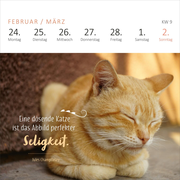 Mini-Wochenkalender Katzenweisheiten 2025 - Abbildung 2