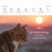 Mini-Wochenkalender Katzenweisheiten 2025 - Abbildung 3