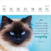 Mini-Wochenkalender Katzenweisheiten 2025 - Abbildung 5