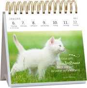 Mini-Wochenkalender Katzenweisheiten 2025 - Abbildung 6