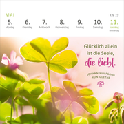 Mini-Wochenkalender Ein Jahr voll Glück 2025 - Abbildung 3