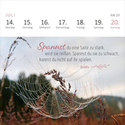 Mini-Wochenkalender 365 Tage Gelassenheit 2025 - Abbildung 5