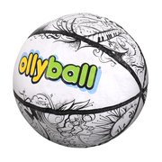 Ollyball - Abbildung 1