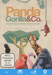 Panda, Gorilla & Co - Cover