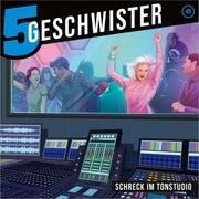 5 Geschwister 40 - Schreck im Tonstudio - Cover