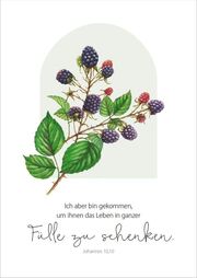 GartenGlück - Postkartenset - Abbildung 4
