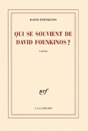 Qui se souvient de David Foenkinos? - Cover